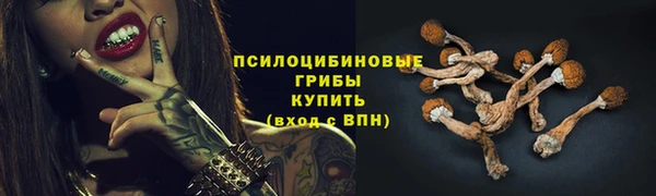 стаф Куйбышев