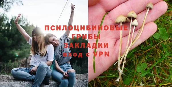 стаф Куйбышев