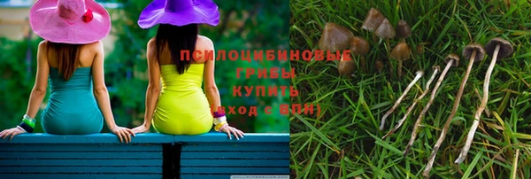 стаф Куйбышев