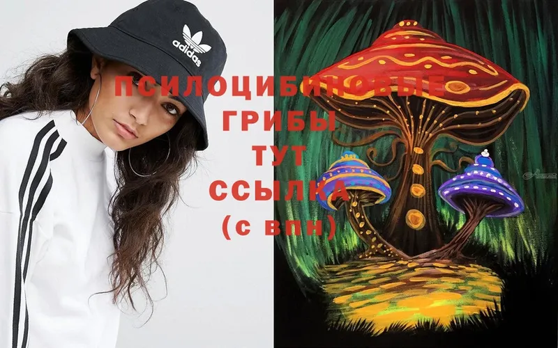 shop клад  Заречный  Псилоцибиновые грибы MAGIC MUSHROOMS 