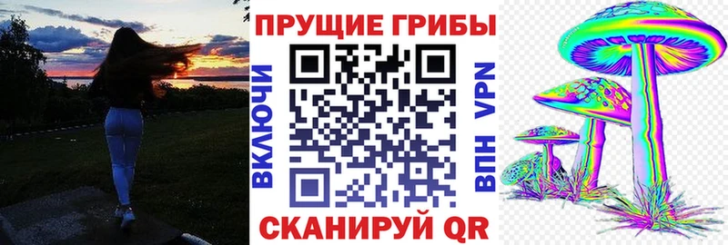 Псилоцибиновые грибы ЛСД  blacksprut сайт  Заречный  где продают наркотики 