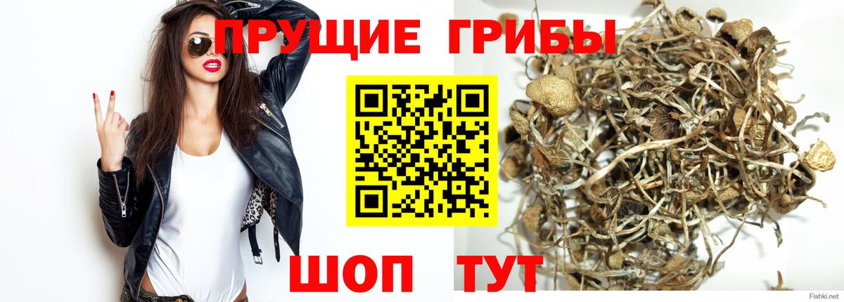 Псилоцибиновые грибы MAGIC MUSHROOMS  Псилоцибиновые грибы Cubensis  Вход с VPN  Заречный 