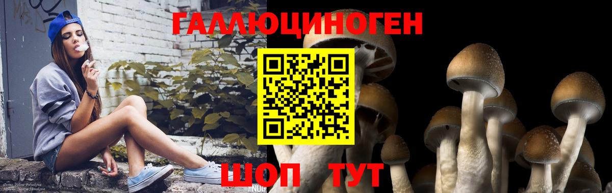 Галлюциногенные грибы MAGIC MUSHROOMS Заречный